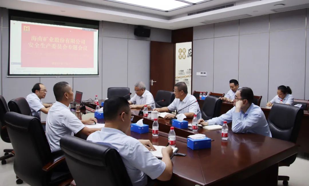 海南礦業安委會學習宣貫《關于進一步加強礦山安全生產工作的意見》