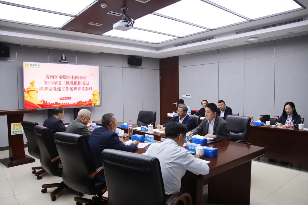 海南礦業黨委召開2024年度二級黨組織書記抓基層黨建工作述職評議會議